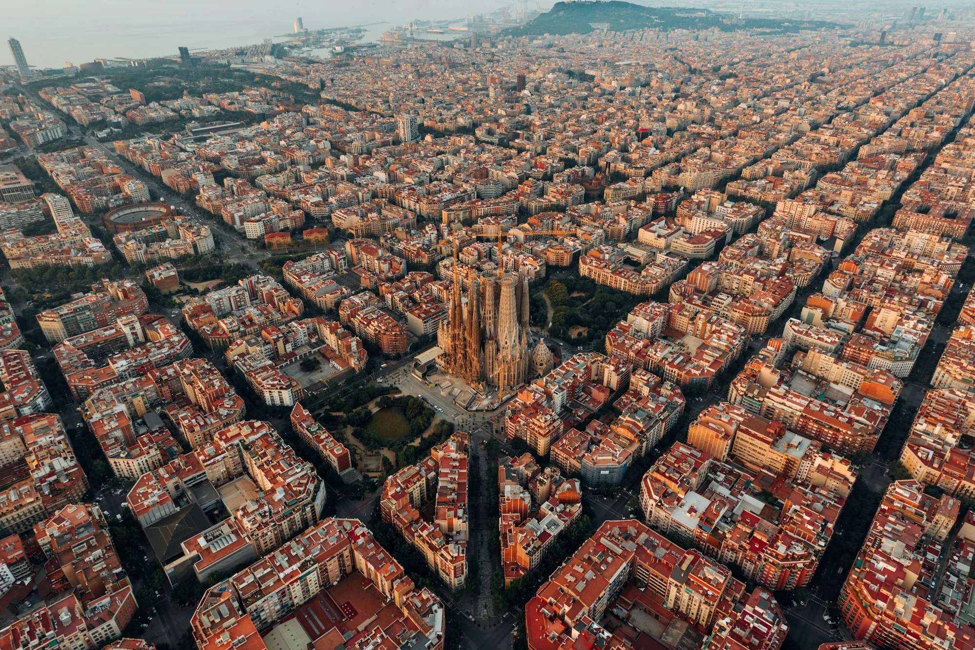 Sagrada Família rises above the sun-warmed streets of Barcelona