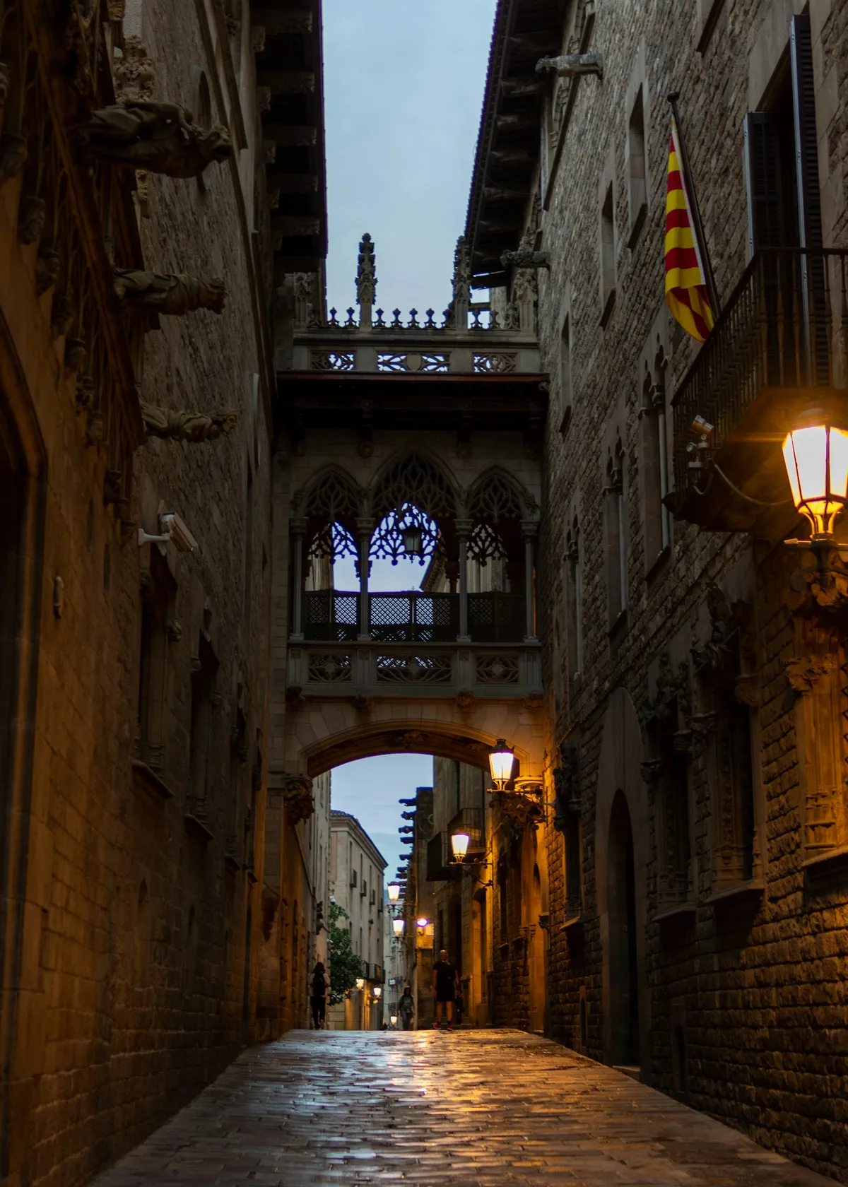 Barcelona’s Gothic Quarter and its intricate stone bridge
